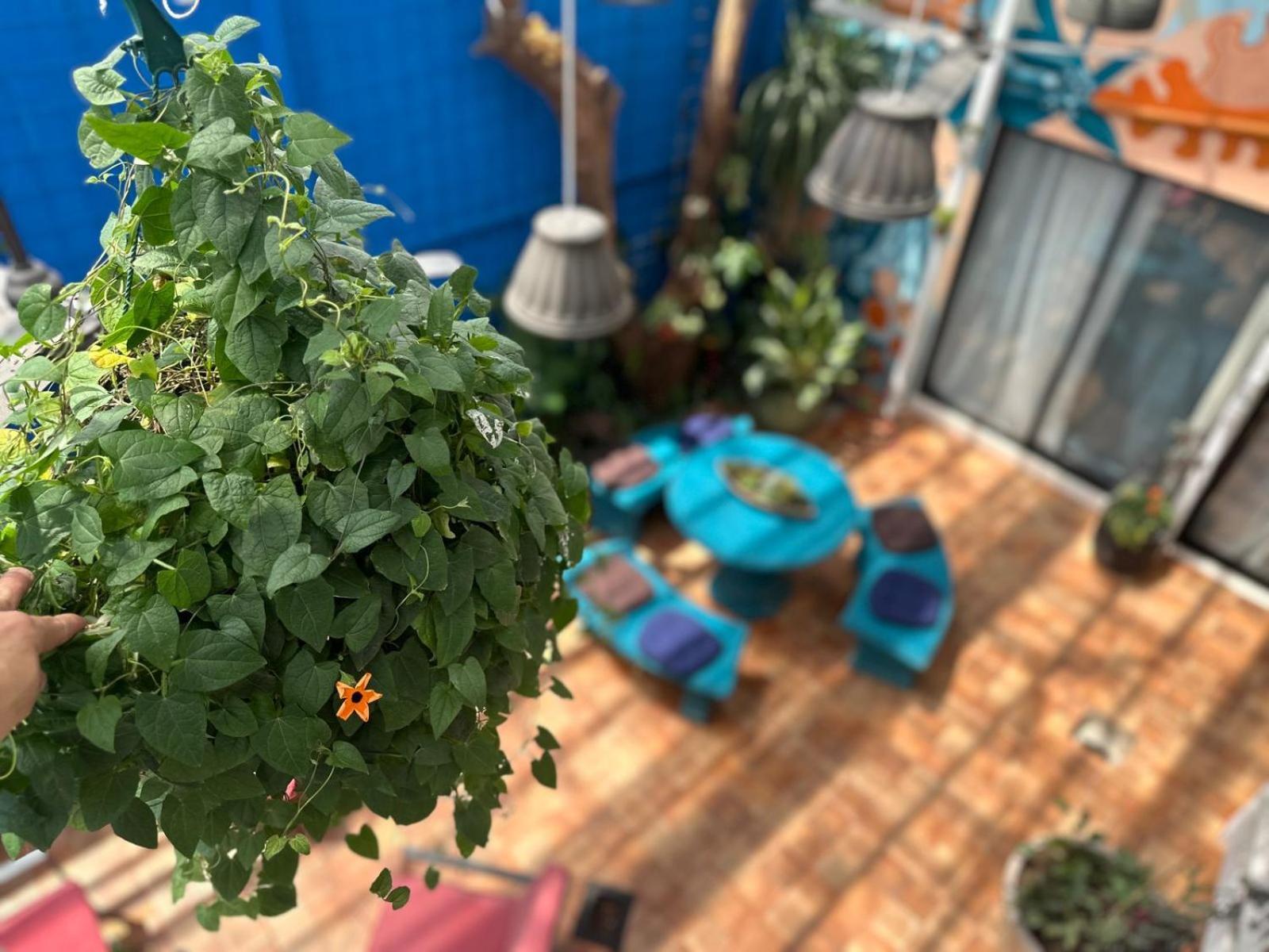 Jungla Urbana, Bnb Pavas Exterior foto